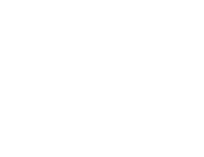 CAS Auto - Overstock Vehicles For Export to Europe